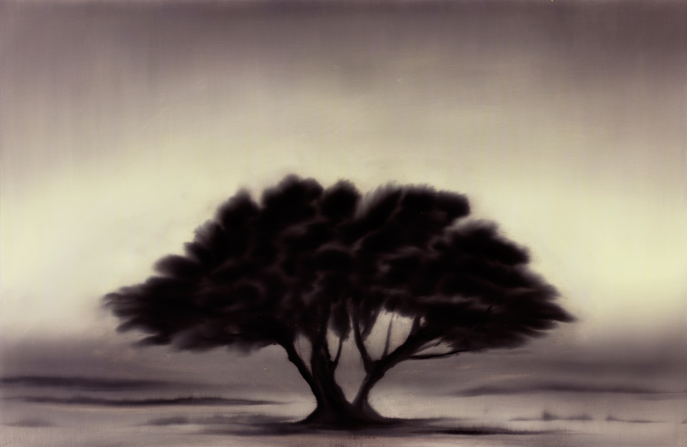 Ash Tree, Oil on Canvas,145x95cm,2014